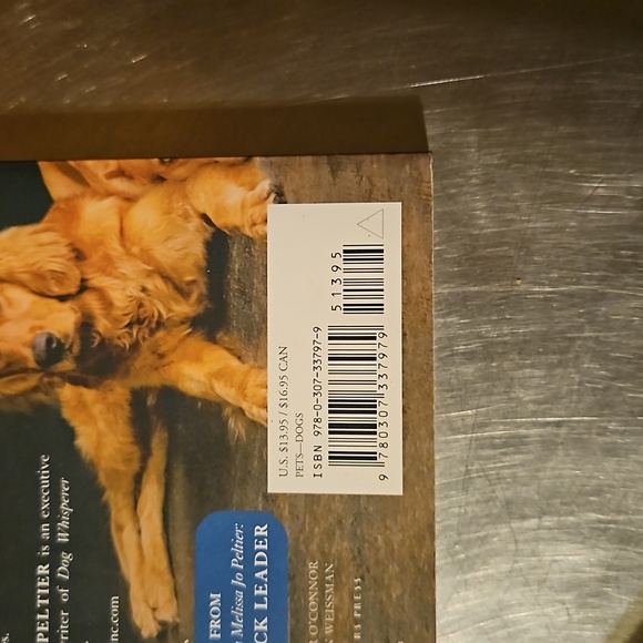 Paperback "Cesar's Way" Book Really Good Condition - Picture 4 of 5